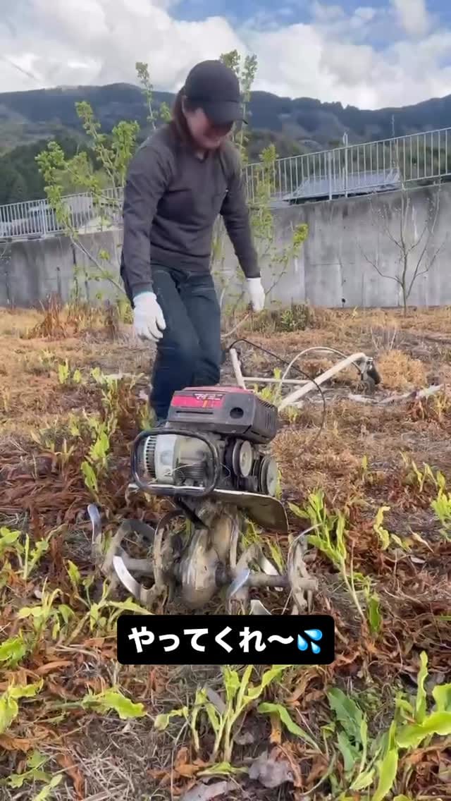 Post 5 by サンヤ農場 on Instagram (video)