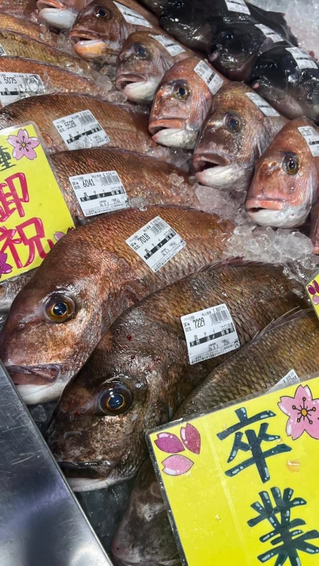 Post 7 by 江口蓬莱館【鹿児島　海の駅】 on Instagram (video)