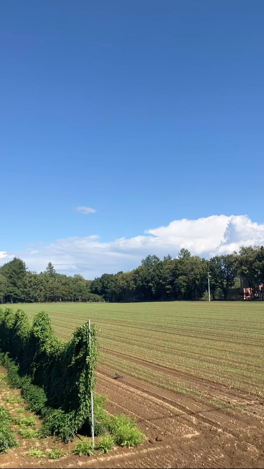 Post 3 by eatandgo hokkaido on Instagram (video)