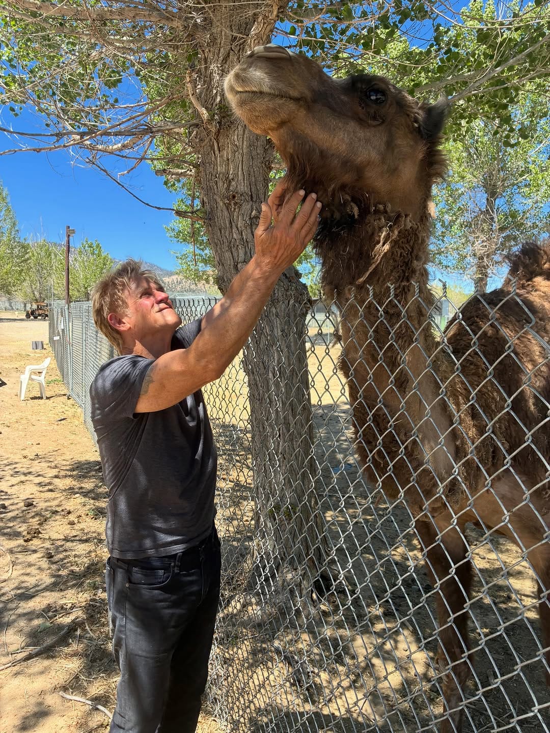 Post 3 by Michael Dudikoff on Instagram (carousel)