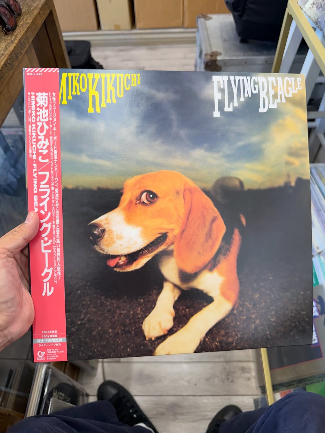 Post 6 by WE SHARE RECORDS on Instagram (carousel)