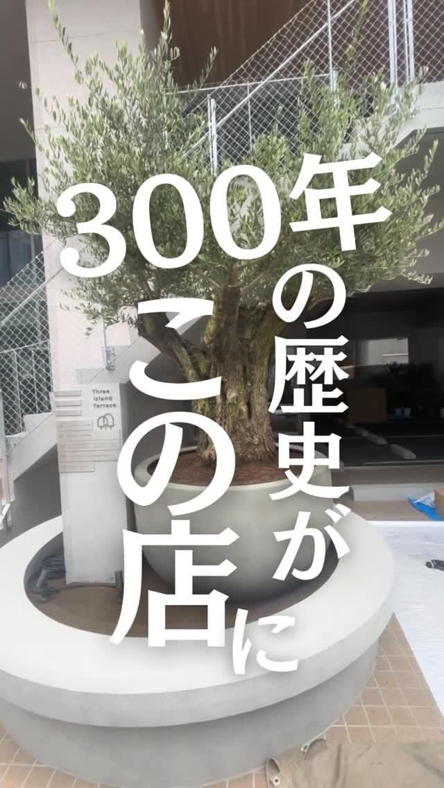 Post 8 by キミドリファーム｜横浜瀬谷の植木屋さん on Instagram (video)