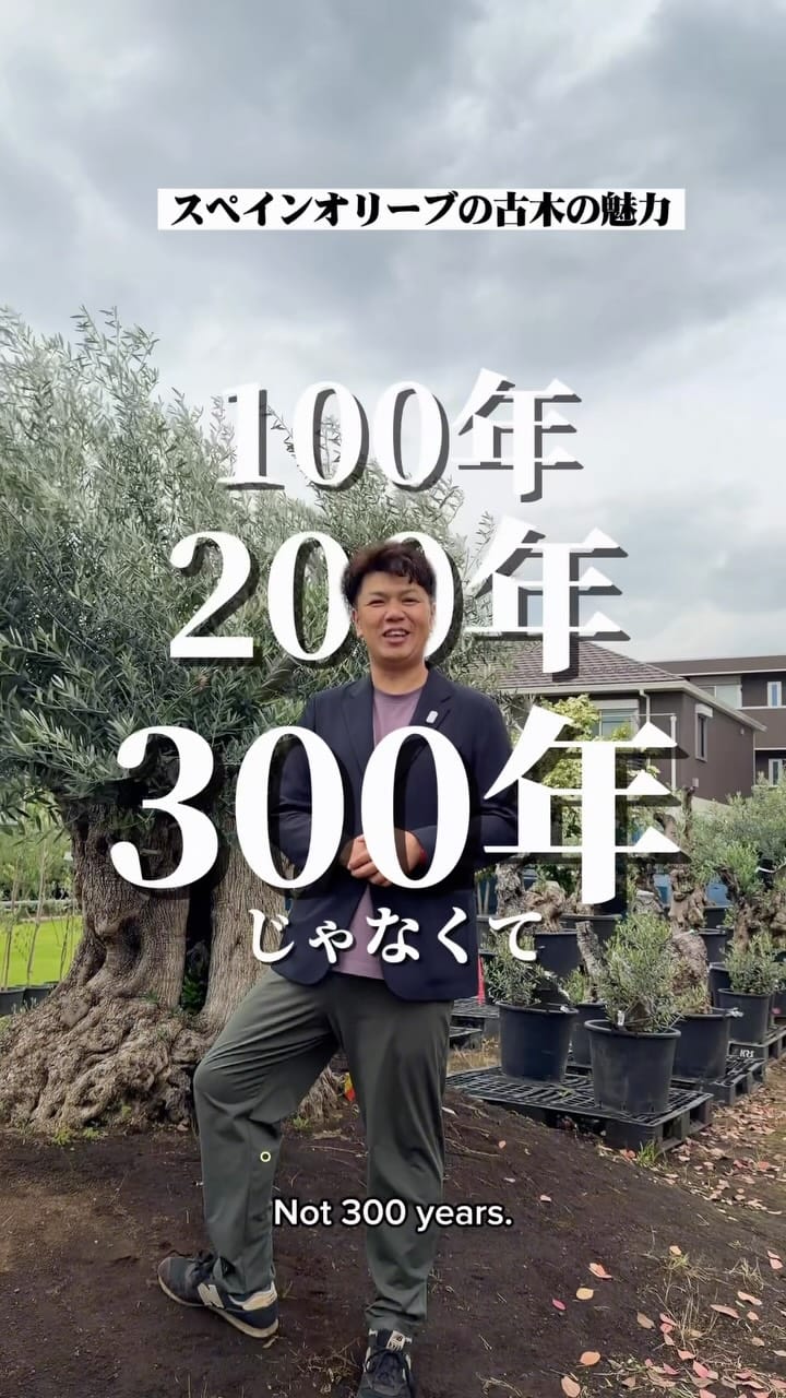 Post 1 by キミドリファーム｜横浜瀬谷の植木屋さん on Instagram (video)