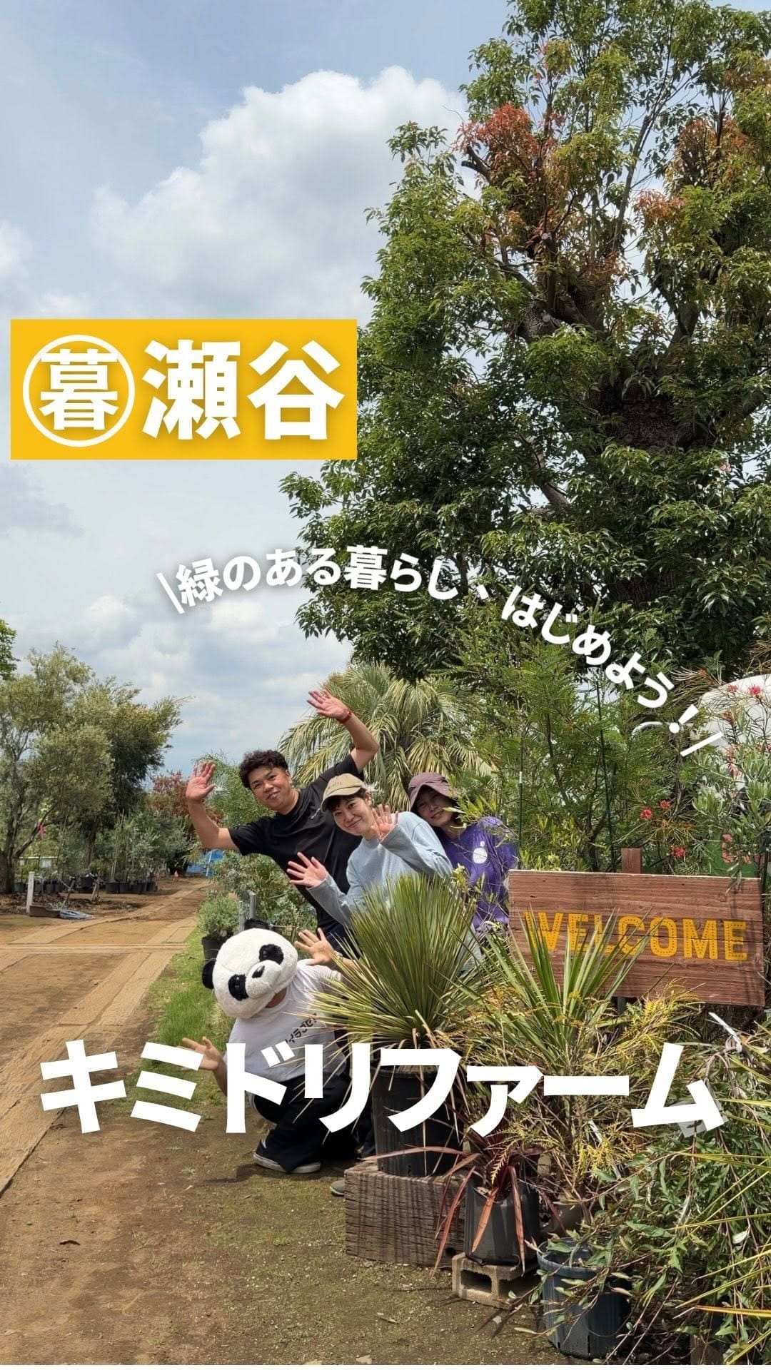 Post 9 by キミドリファーム｜横浜瀬谷の植木屋さん on Instagram (video)