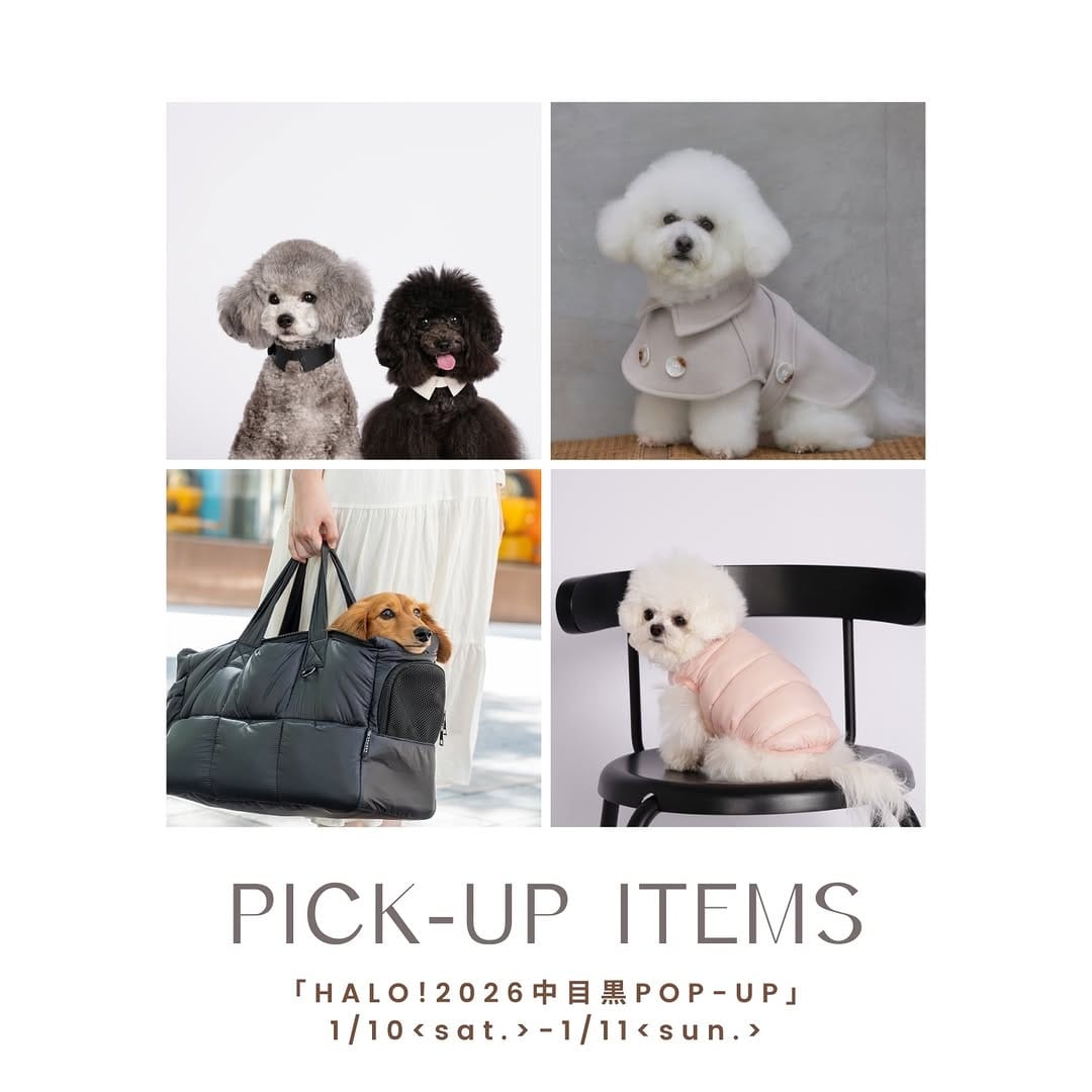 Post 9 by pawdea(ポーディー) dog wear&goods on Instagram (carousel)