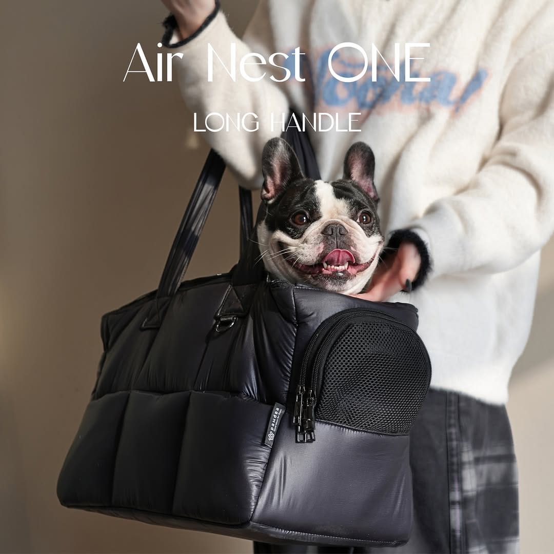 Post 4 by pawdea(ポーディー) dog wear&goods on Instagram (carousel)