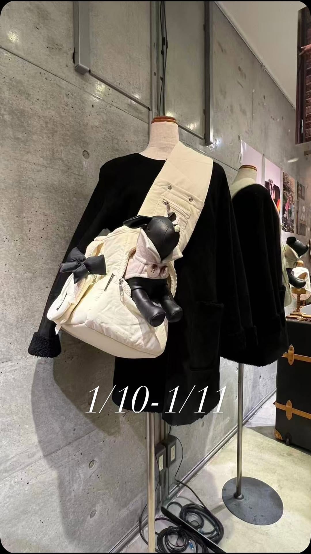 Post 8 by pawdea(ポーディー) dog wear&goods on Instagram (video)