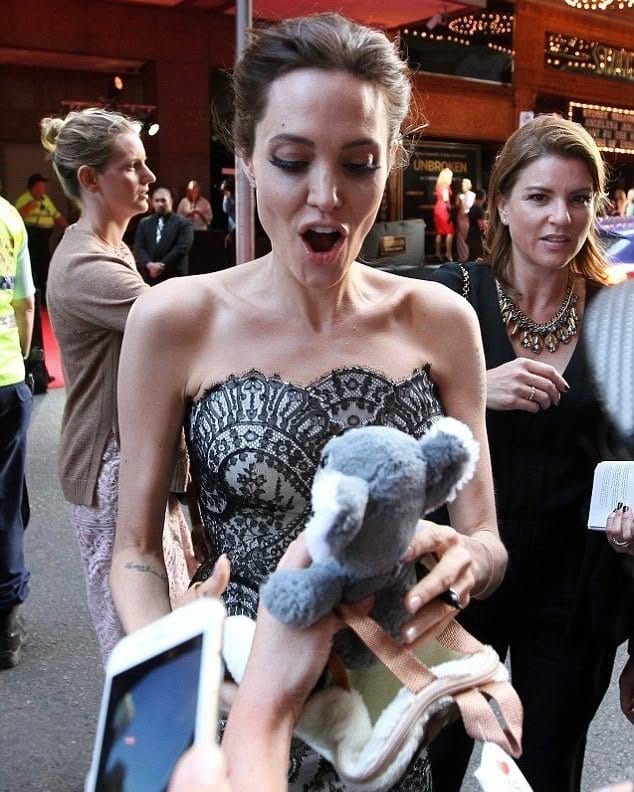 Post 7 by Angelina Jolie on Instagram (image)