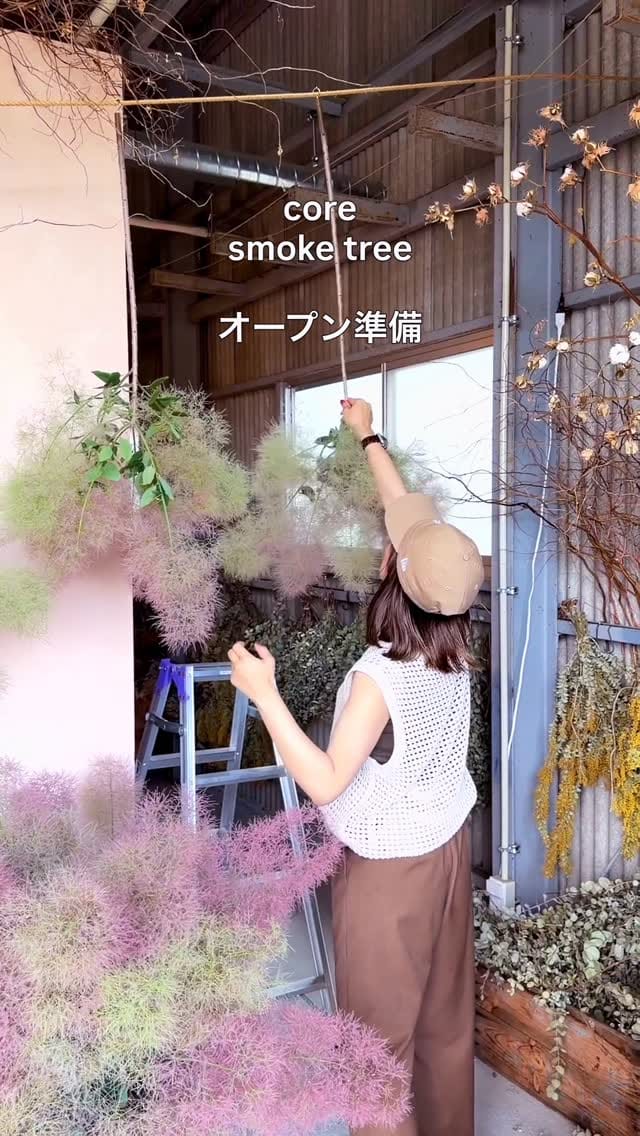 Post 10 by Yuri 𓆸  itabashi  🍊ehime on Instagram (video)