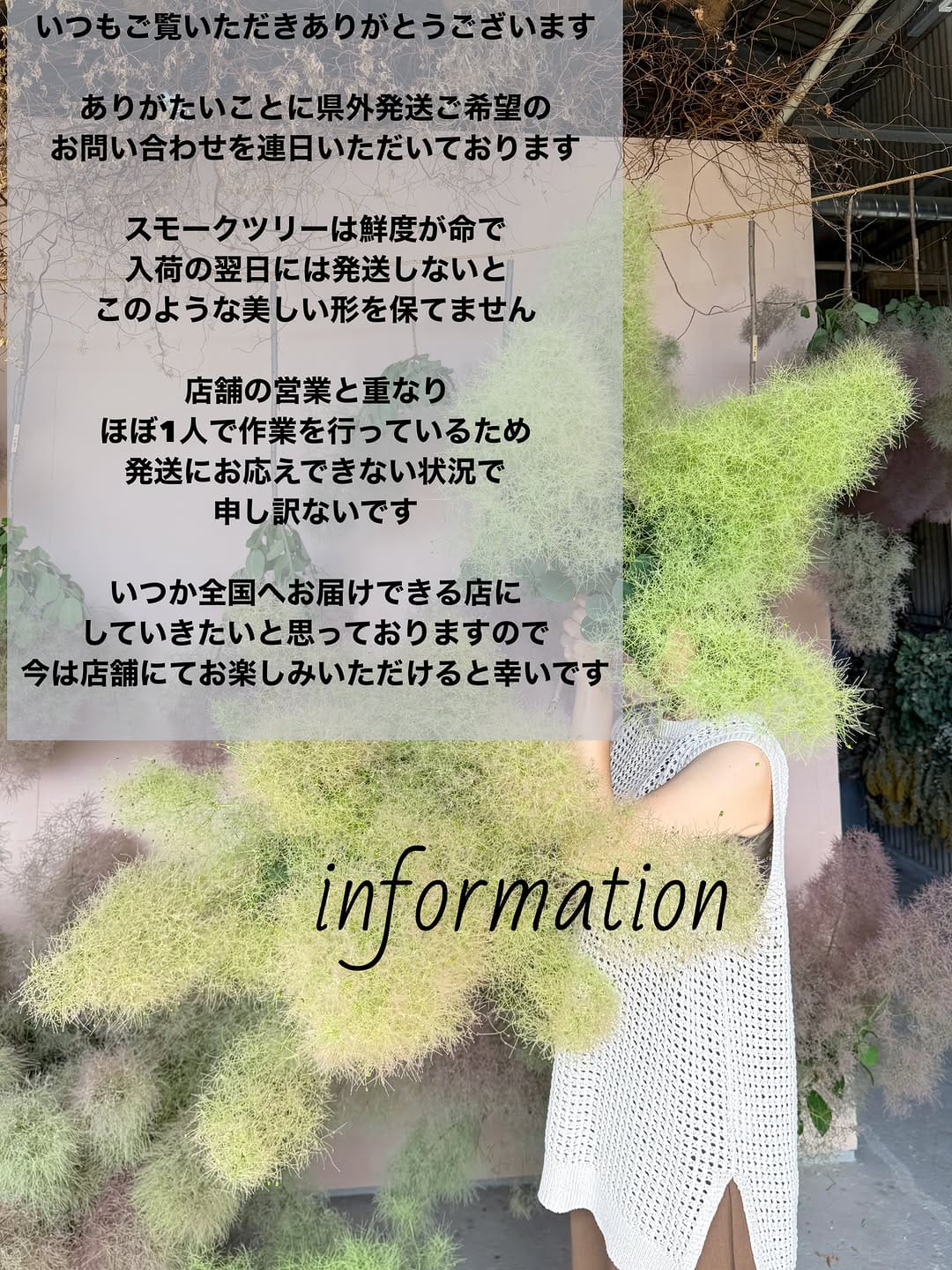Post 8 by Yuri 𓆸  itabashi  🍊ehime on Instagram (image)