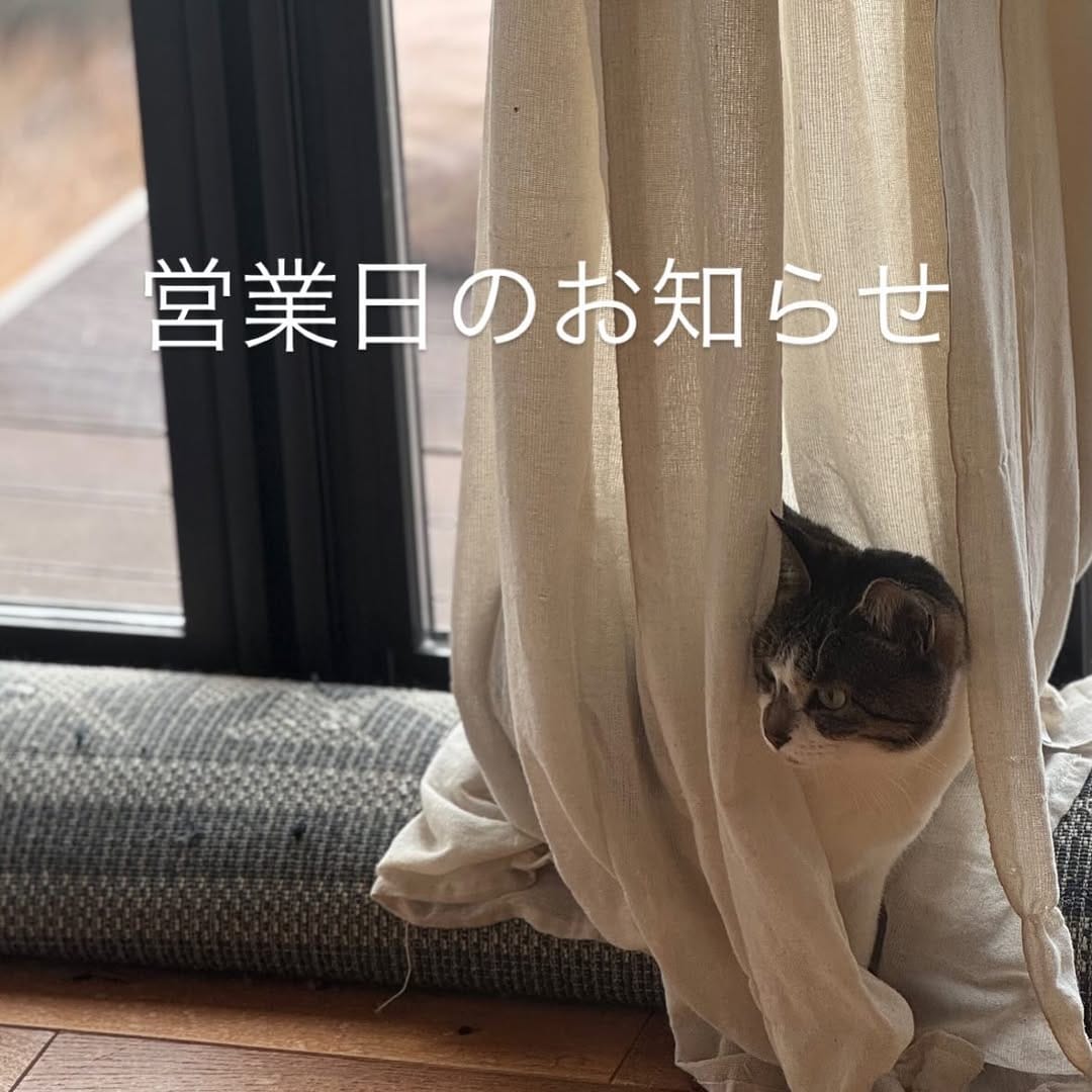 Post 5 by マサカノ on Instagram (image)