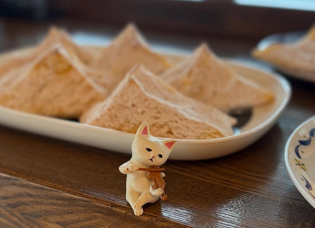 Post 4 by ねこにこぱん on Instagram (image)
