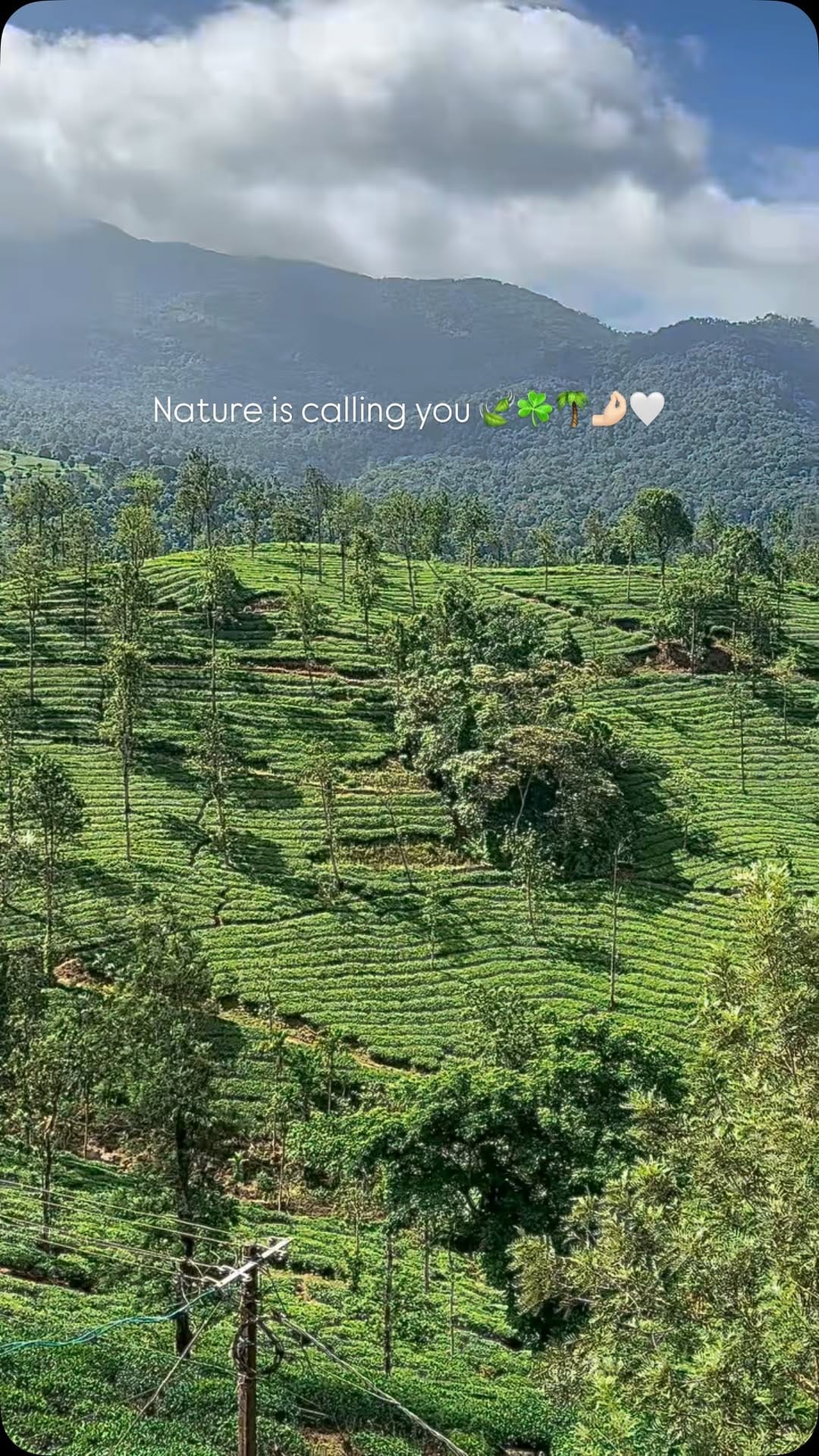 Post 6 by श्रुति ओझा 🤍 on Instagram (video)