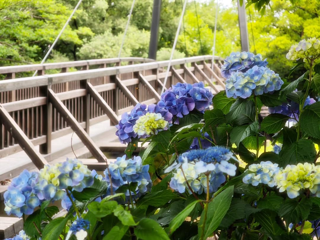 Post 2 by 手作り家具工房の工房主 on Instagram (carousel)