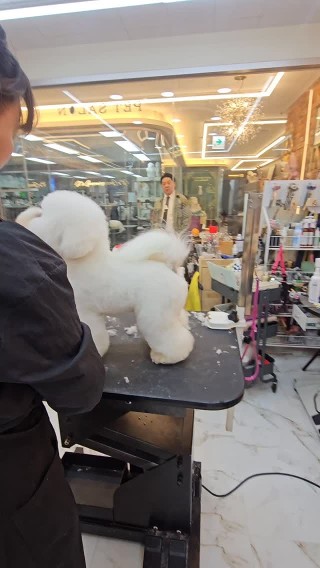 Post 5 by Poppinzero Kim on Instagram (video)