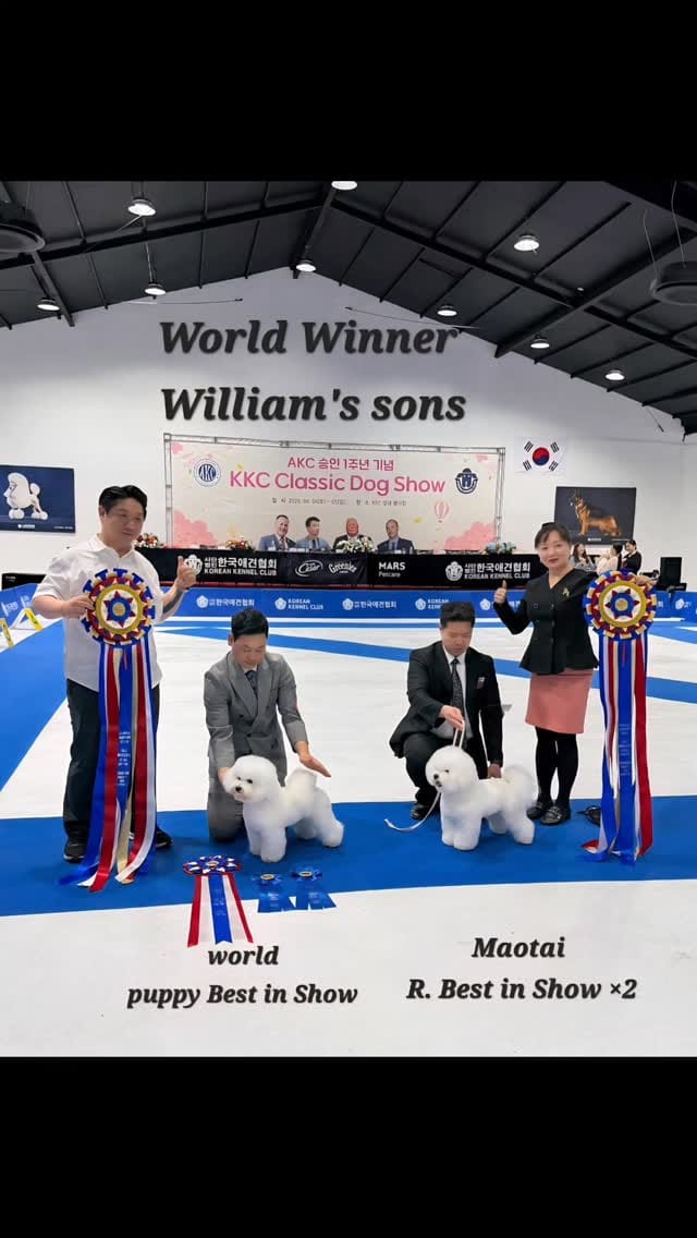 Post 6 by Poppinzero Kim on Instagram (video)