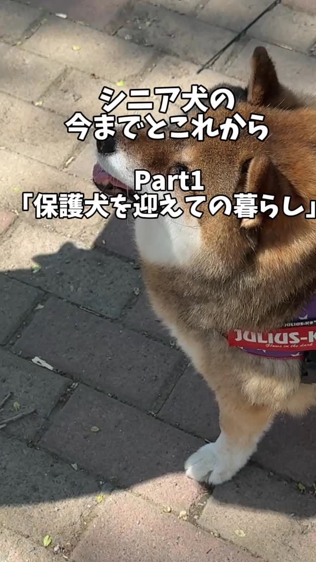 Post 5 by 日本ヒルズ・コルゲート on Instagram (video)