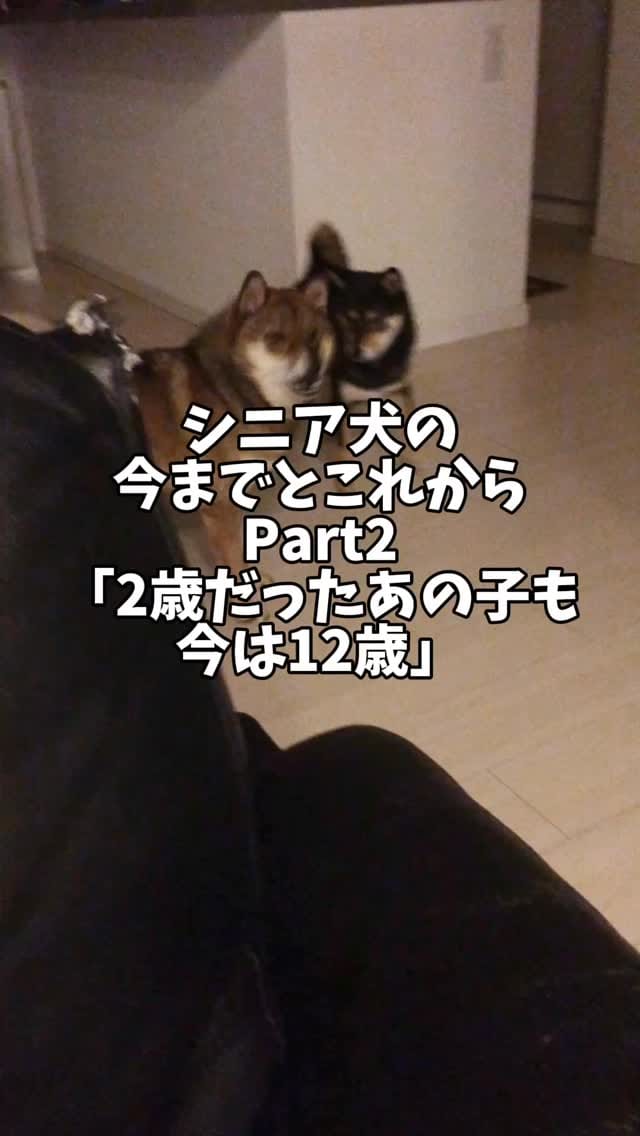 Post 4 by 日本ヒルズ・コルゲート on Instagram (video)