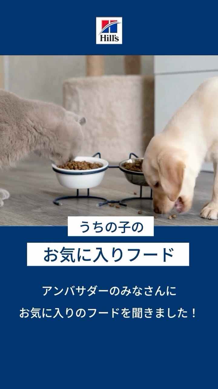 Post 8 by 日本ヒルズ・コルゲート on Instagram (video)