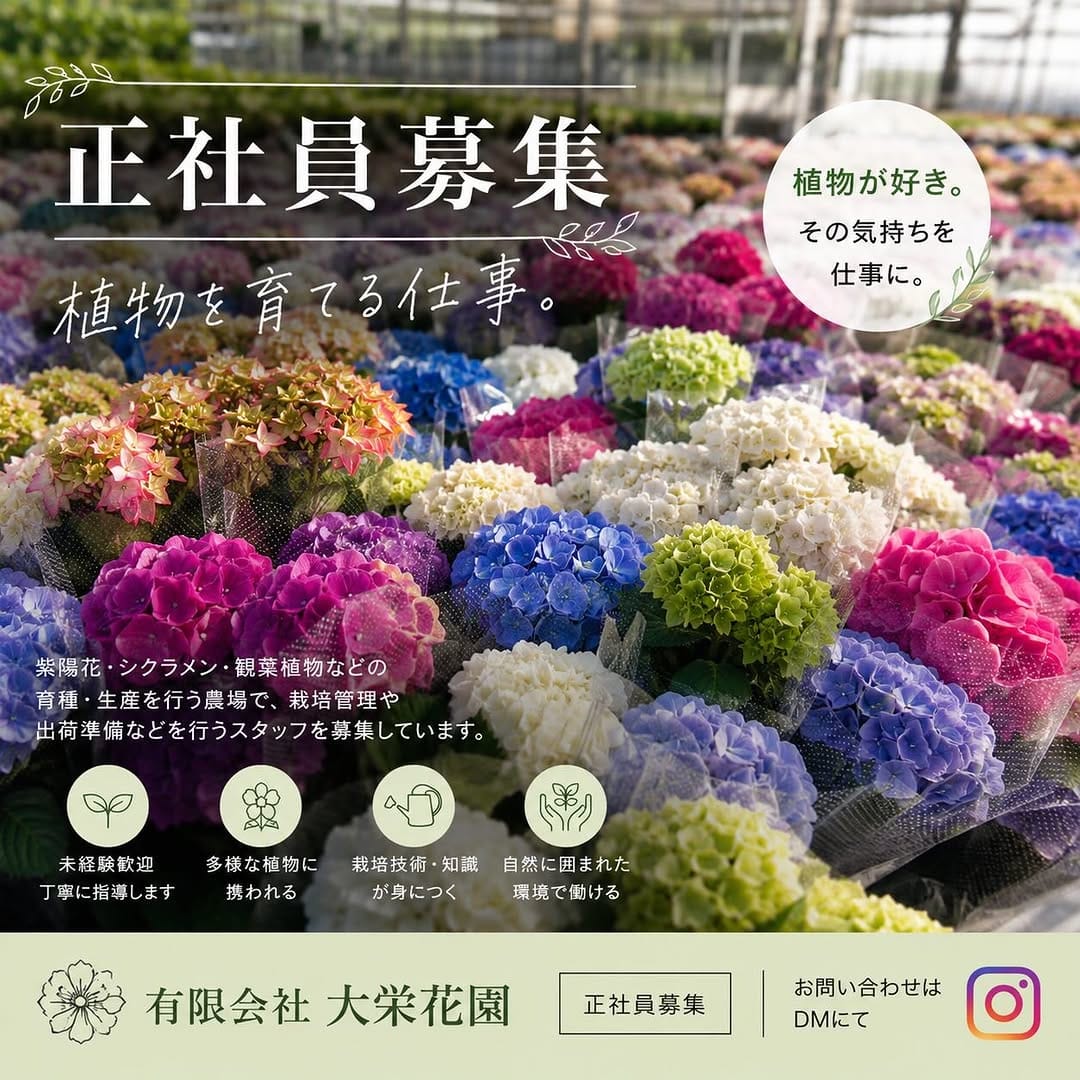 Post 3 by 𝑩𝒐𝒕𝒂𝒏𝒊𝒄𝒂𝒍&𝒄𝒂𝒇𝒆 𝑩𝒓𝒆𝒆𝒅 on Instagram (image)