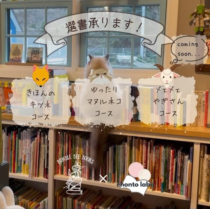 Post 10 by BUMBLE BEE BOOKS on Instagram (carousel)
