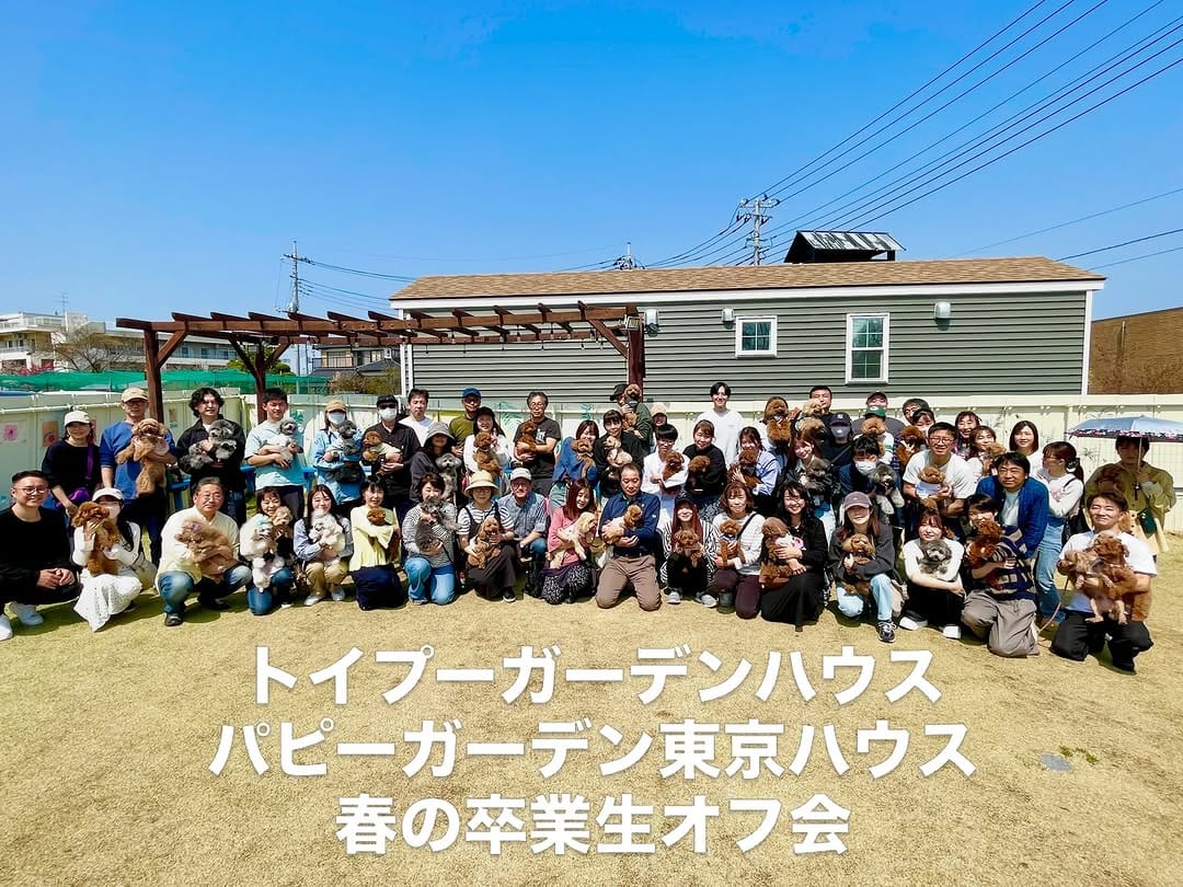 Post 9 by トイプードル専門 パピーガーデン東京ハウス/おうちで育てる子犬屋さん。 on Instagram (carousel)