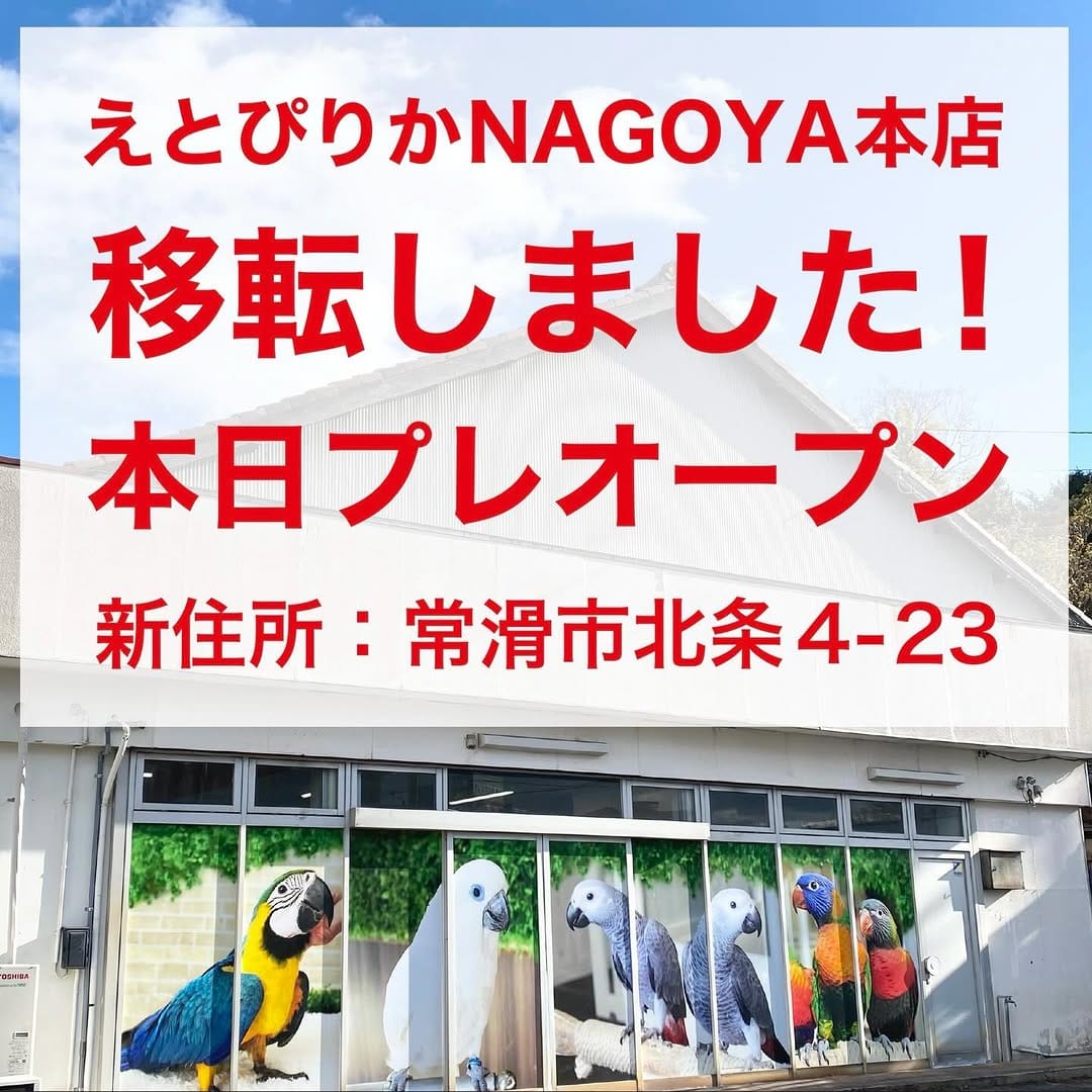Post 10 by えとぴりかNAGOYA本店 on Instagram (image)