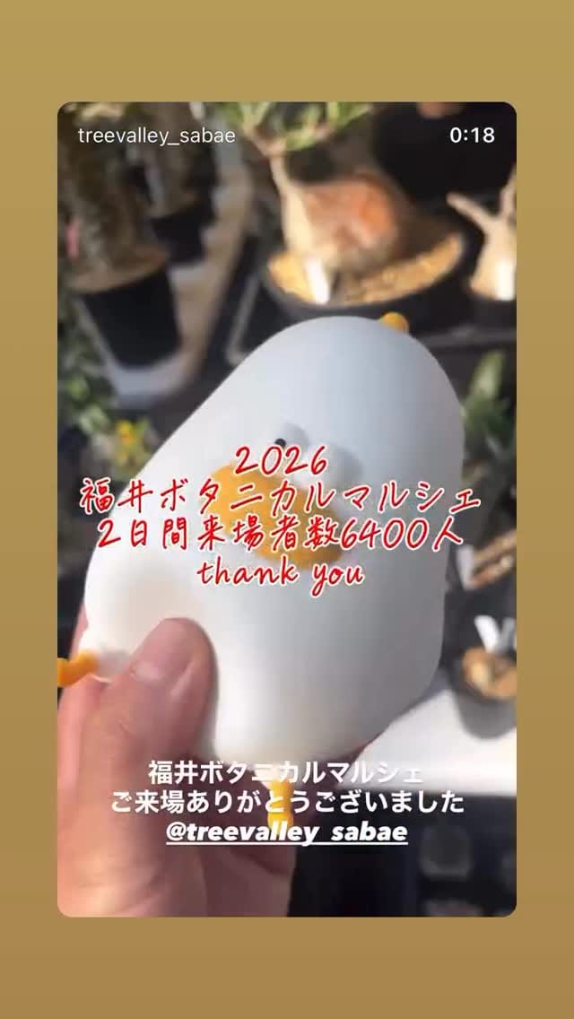 Post 8 by ステラプランツ/石川県金沢市 on Instagram (video)