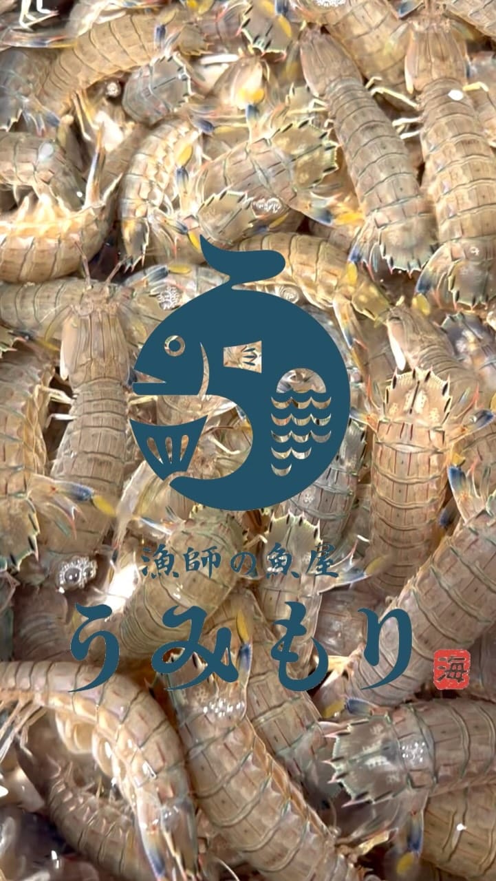 Post 8 by 漁師の魚屋 うみもり on Instagram (video)