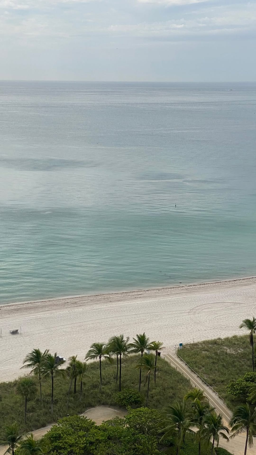 Post 8 by Virgilio Mariano on Instagram (video)