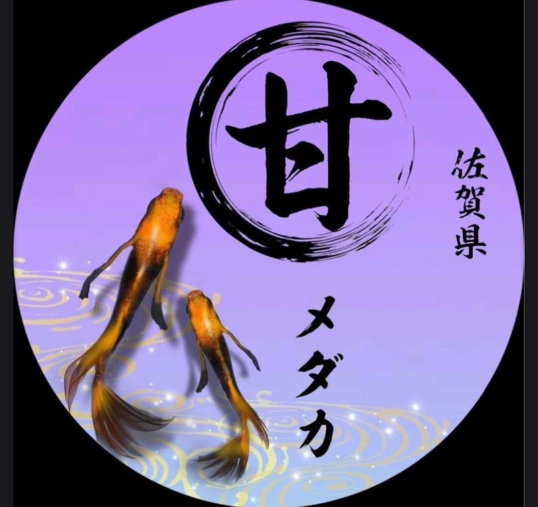 Post 10 by 甘メダカ on Instagram (image)