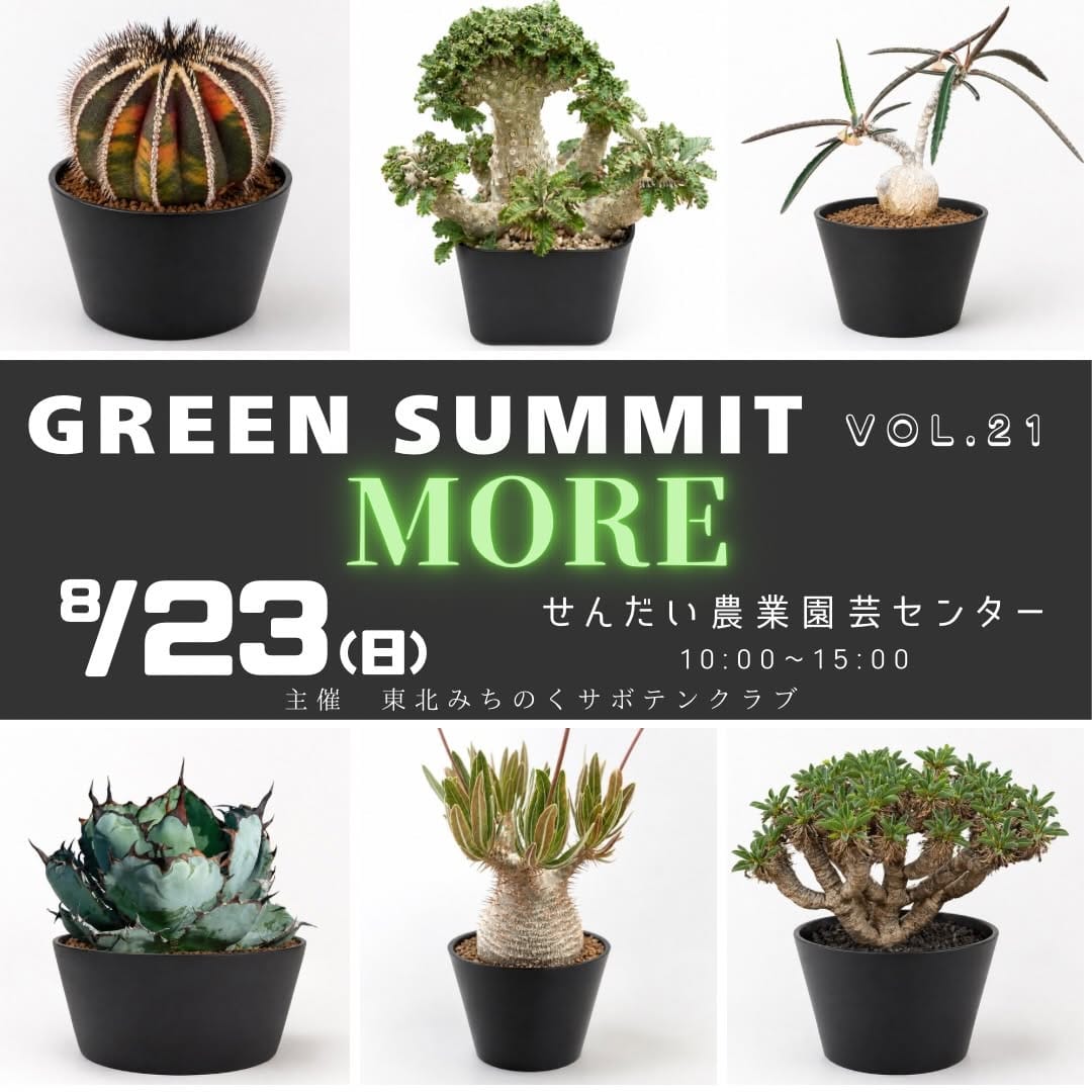 Post 3 by 多肉植物とまめ盆栽の専門店1000's BASE on Instagram (image)
