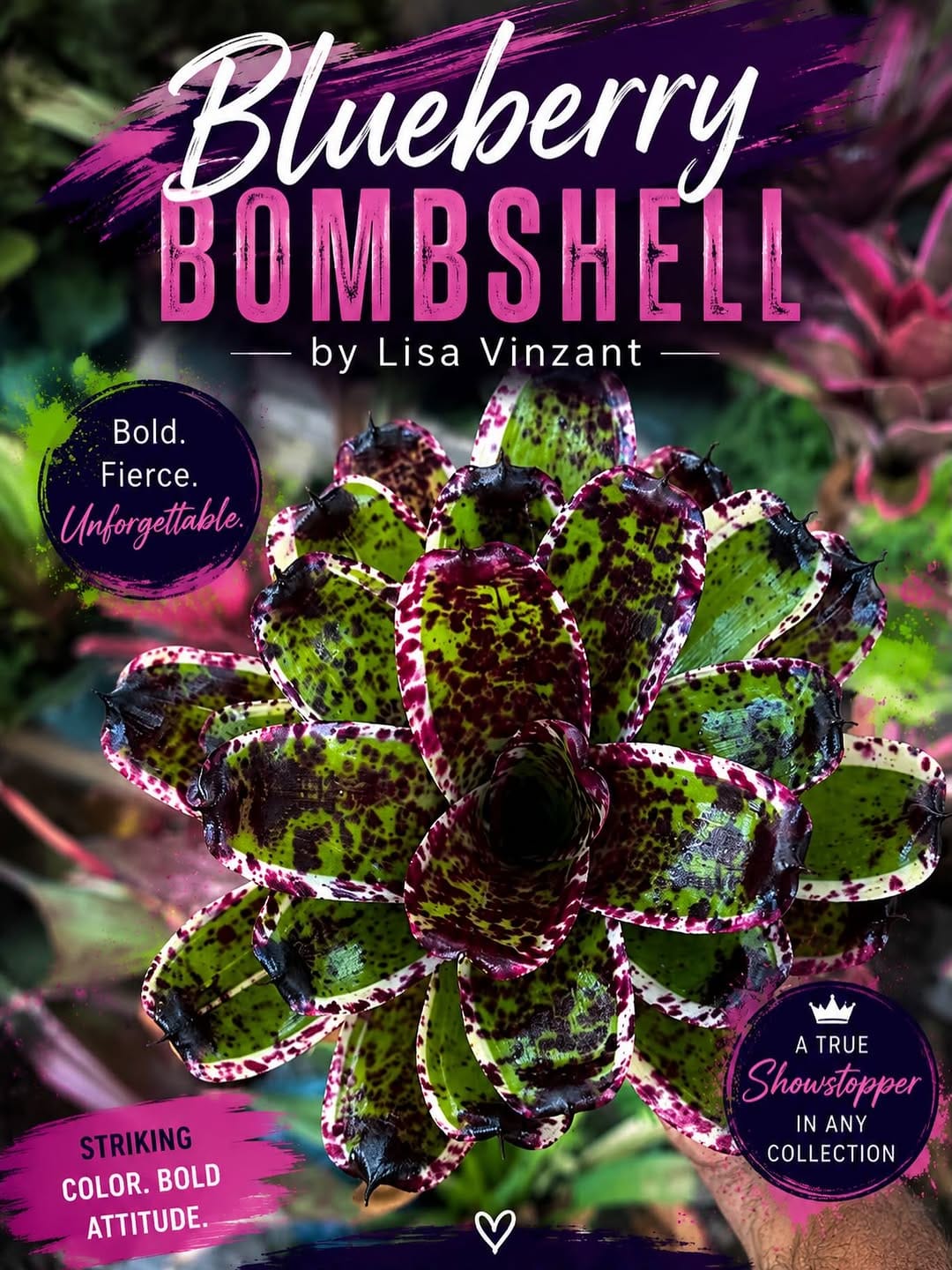 Post 10 by Brilliant Bromeliads on Instagram (image)