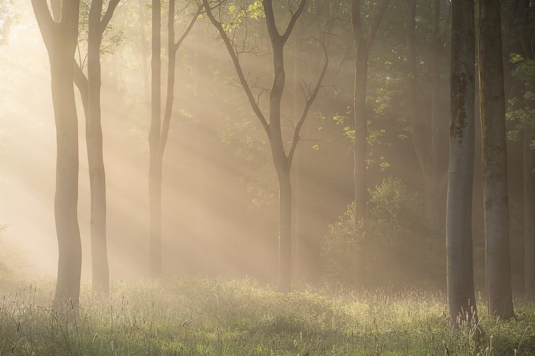 Post 4 by Jeroen Schouten on Instagram (image)