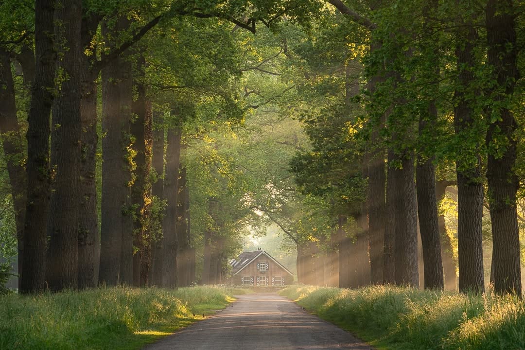 Post 7 by Jeroen Schouten on Instagram (image)