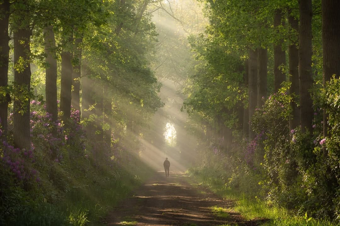 Post 10 by Jeroen Schouten on Instagram (image)