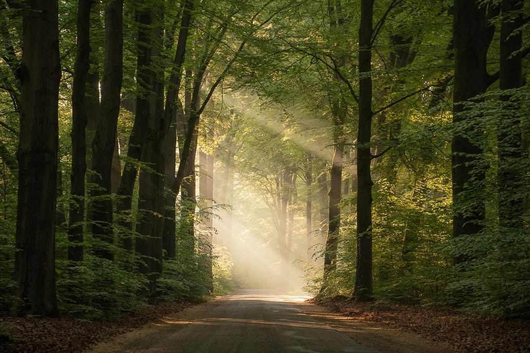 Post 3 by Jeroen Schouten on Instagram (image)