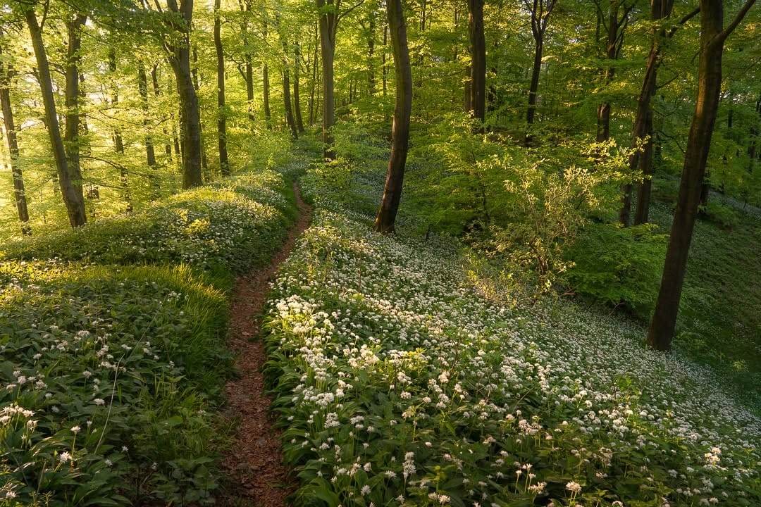 Post 8 by Jeroen Schouten on Instagram (image)