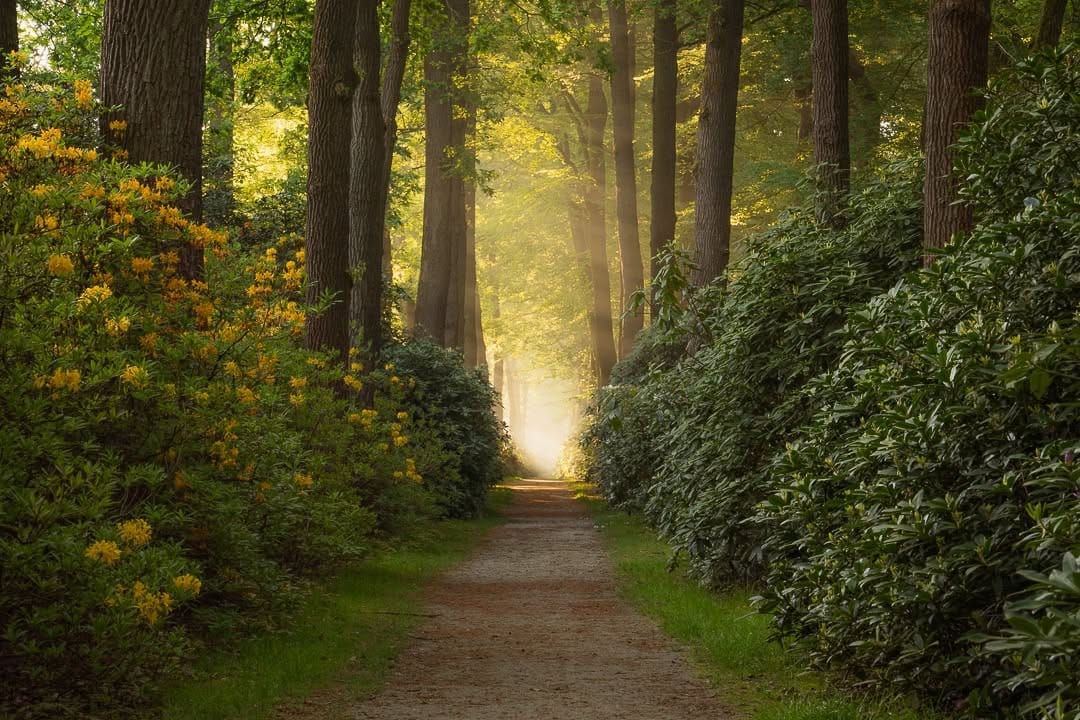 Post 9 by Jeroen Schouten on Instagram (image)