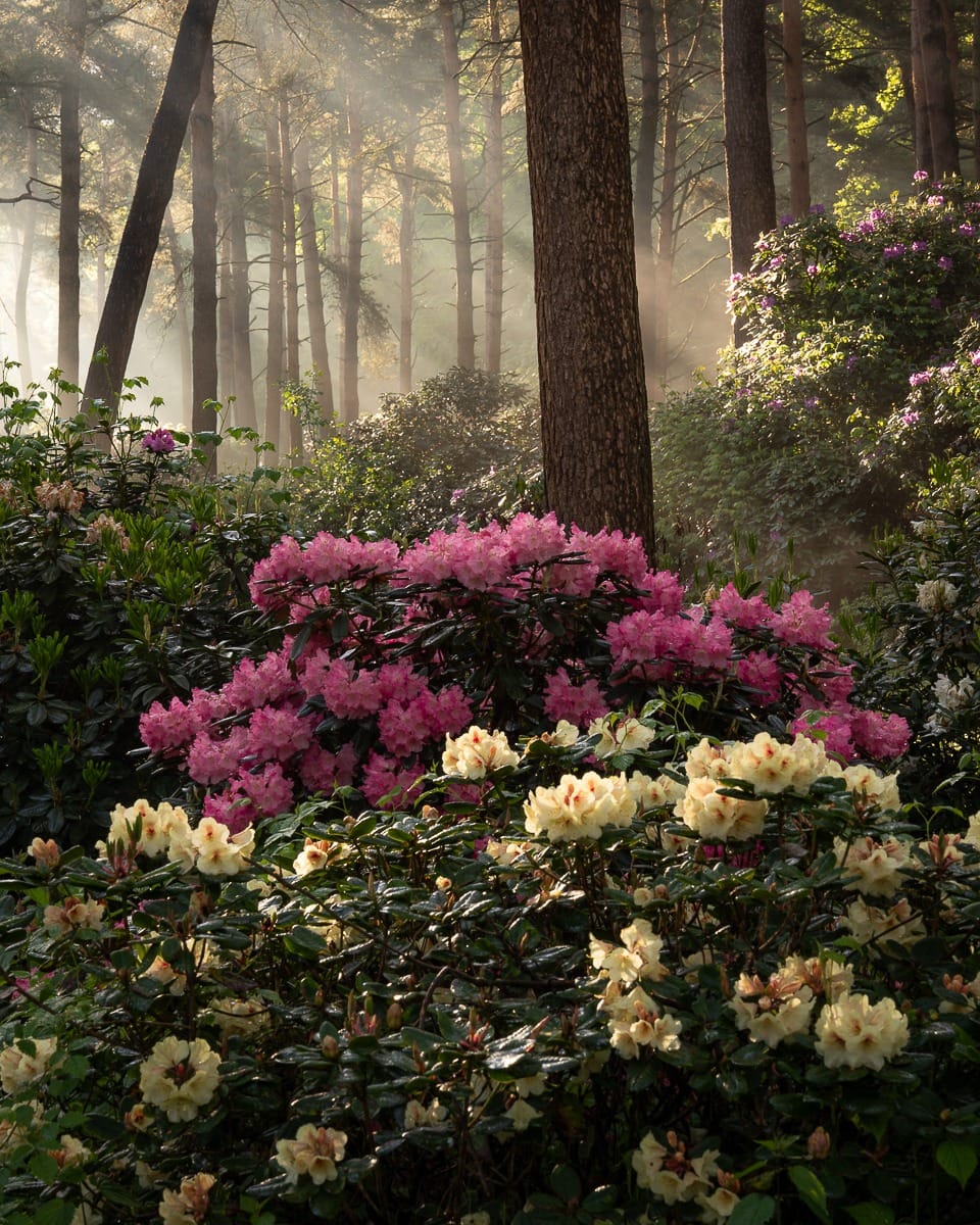 Post 6 by Jeroen Schouten on Instagram (image)