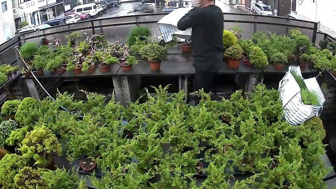 Post 2 by Toshiyuki Okamura on Instagram (video)