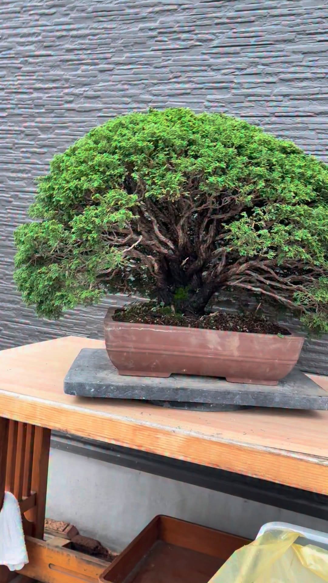 Post 7 by Toshiyuki Okamura on Instagram (video)