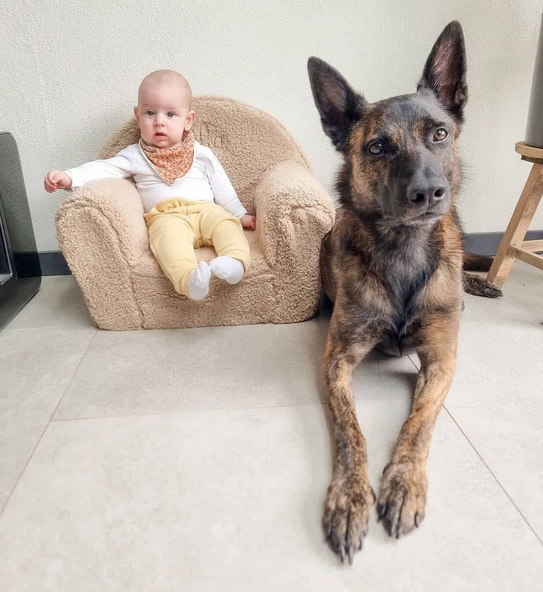 Post 10 by 𝙍𝙞𝙛𝙛 𝙆𝙤𝙯𝙖𝙧 𝙫𝙖𝙣 𝙙𝙚 𝙂𝙖𝙣𝙯𝙚𝙬𝙚𝙞𝙙𝙚 on Instagram (image)