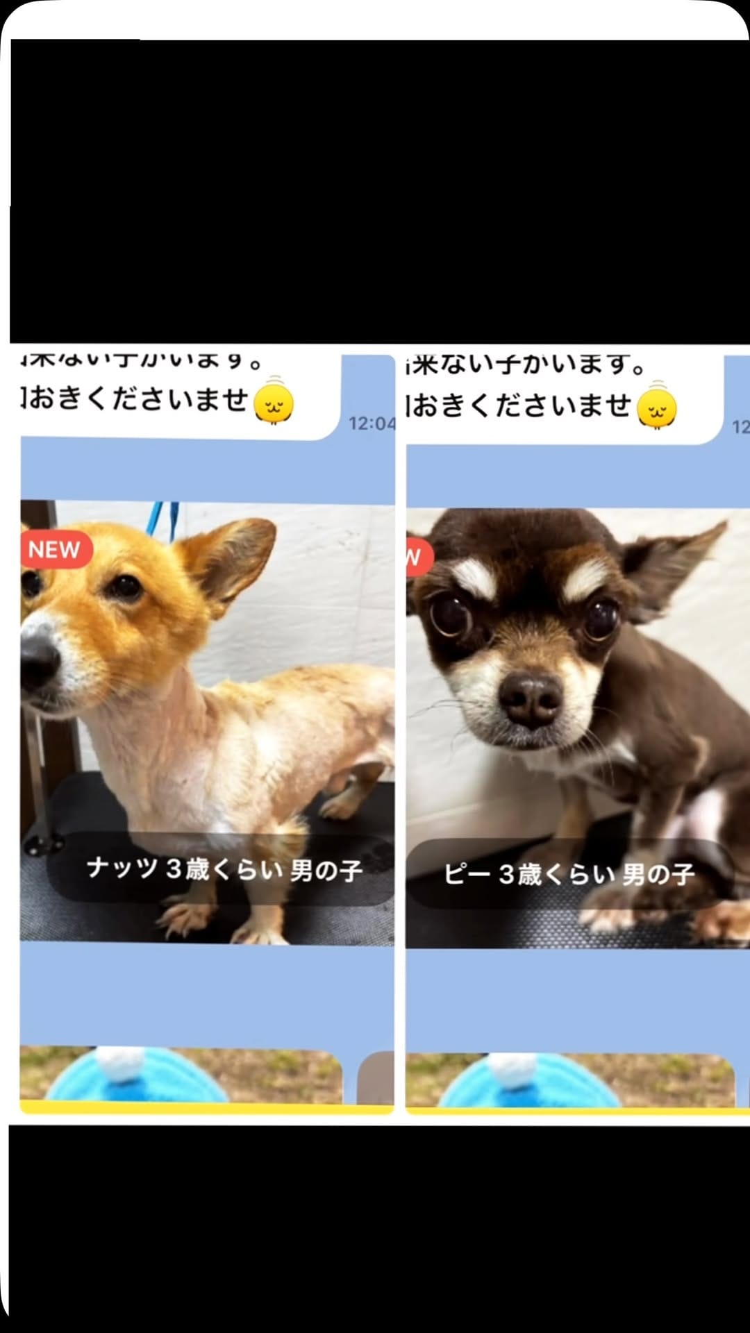 Post 5 by 神門村 喫茶zizi on Instagram (video)
