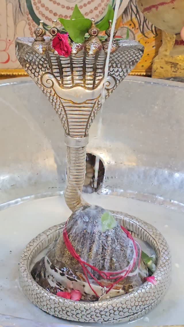 Post 5 by Kuber Bhandari Karnali on Instagram (video)