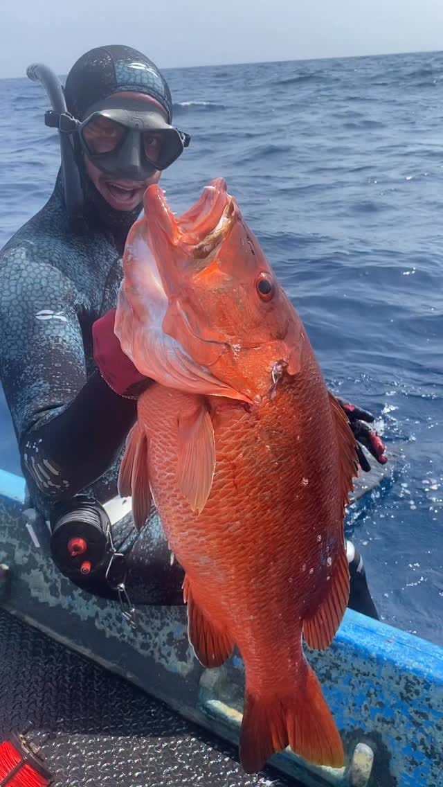 Post 6 by ≋R≋i≋c≋k≋y≋s≋p≋e≋a≋r≋ on Instagram (video)