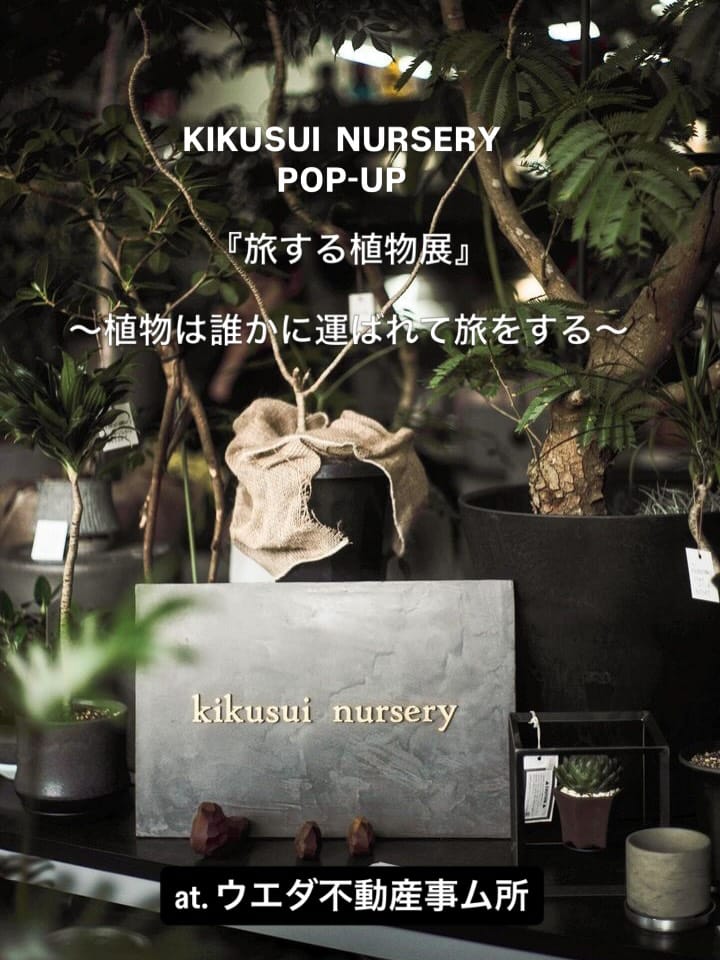 Post 1 by KIKUSUI  NURSERY on Instagram (carousel)