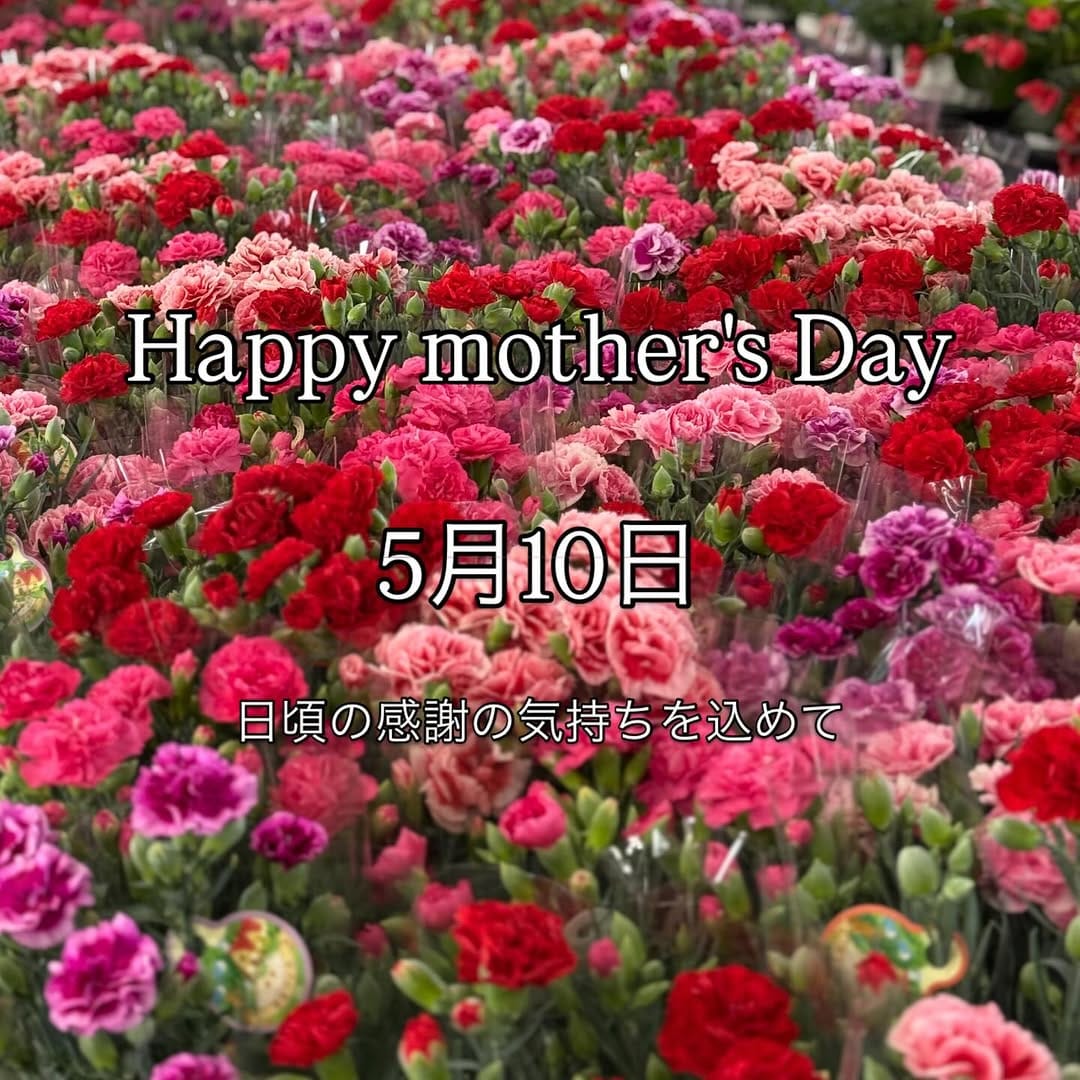 Post 3 by KIKUSUI  NURSERY on Instagram (image)