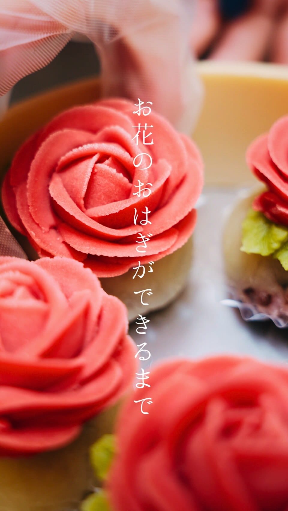 Post 10 by お花のおはぎ 華子 on Instagram (video)