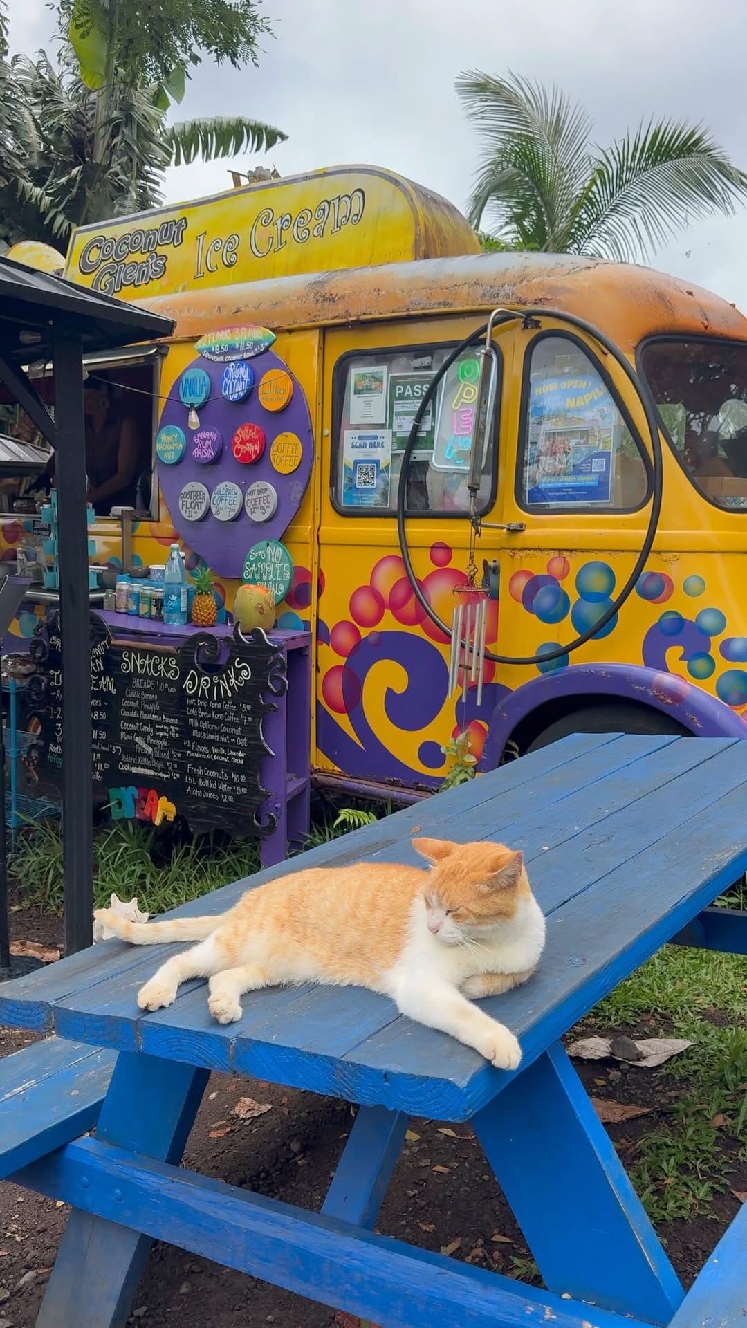 Post 1 by Coconut Glen's Ice Cream on Instagram (video)